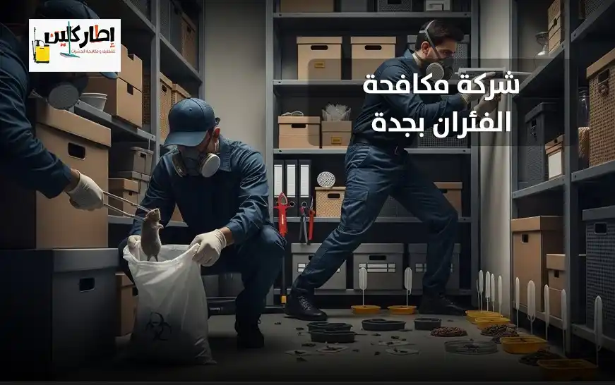 شركة مكافحة الفئران بجدة